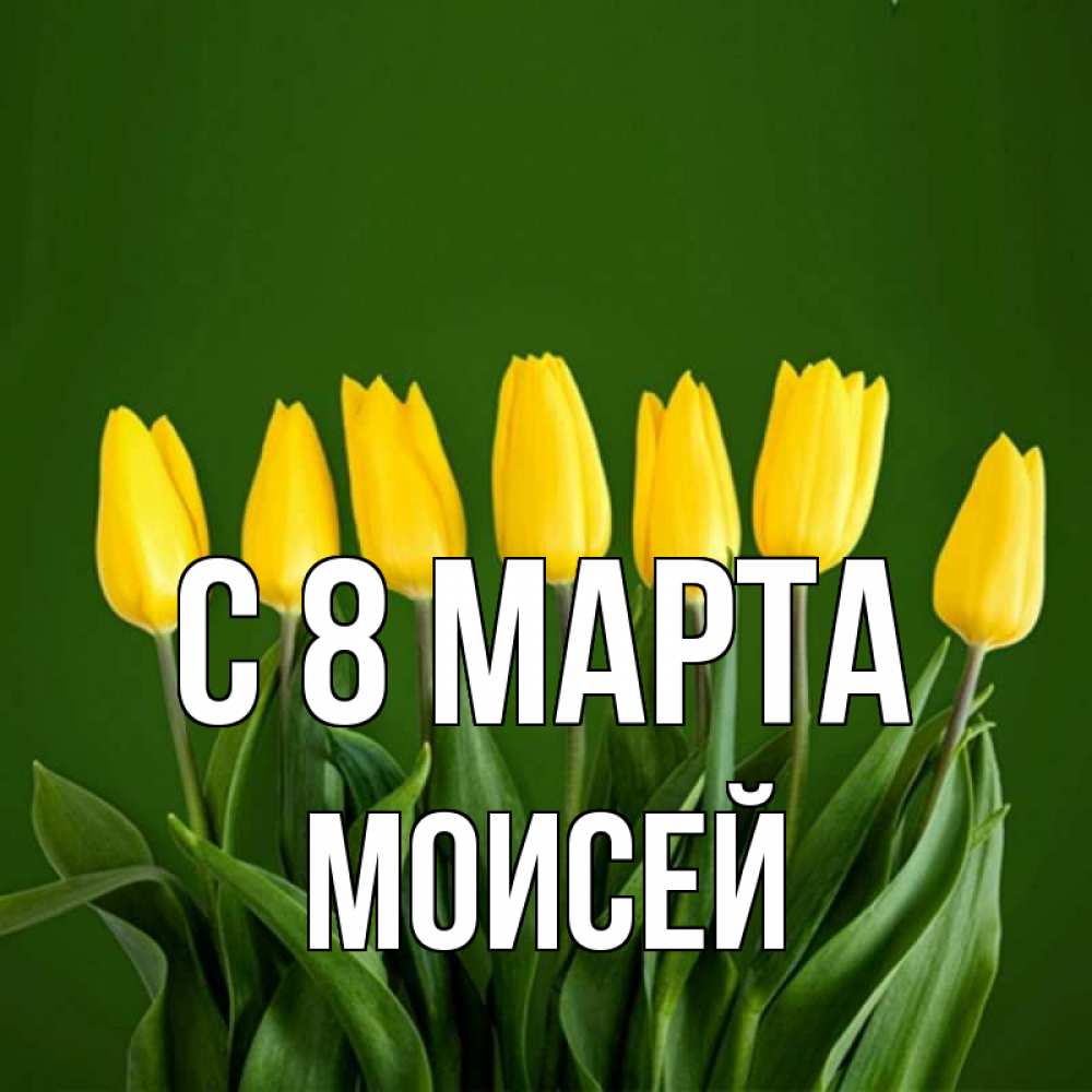 Картинка С 8 марта, Моисей