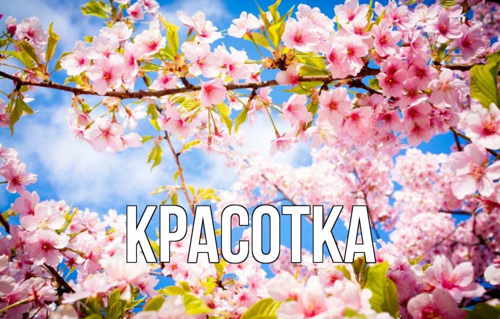 Открытка на каждый день с именем, красотка Главная С 1 мая Прикольная открытка с пожеланием онлайн скачать бесплатно 