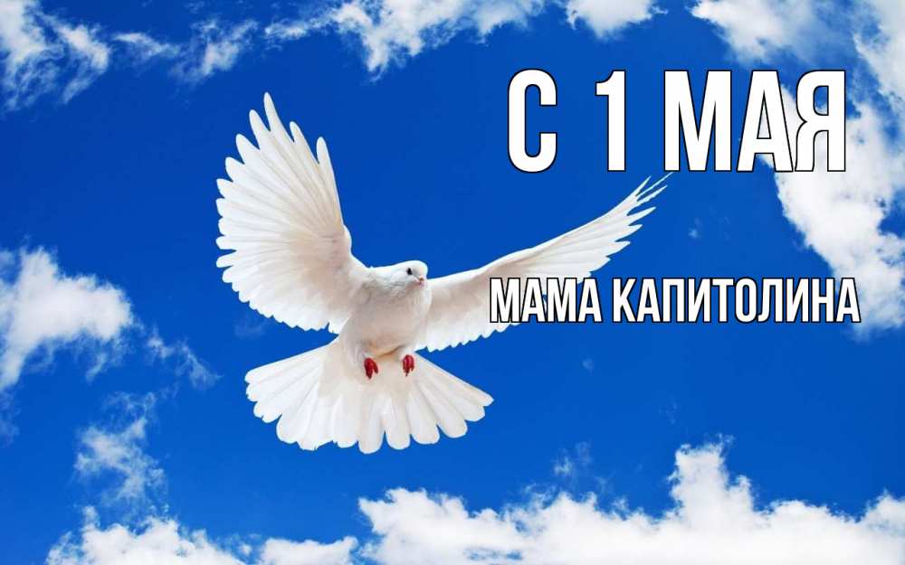 Открытка на каждый день с именем, Мама-Капитолина С 1 мая С 1 мая 1 Прикольная открытка с пожеланием онлайн скачать бесплатно 