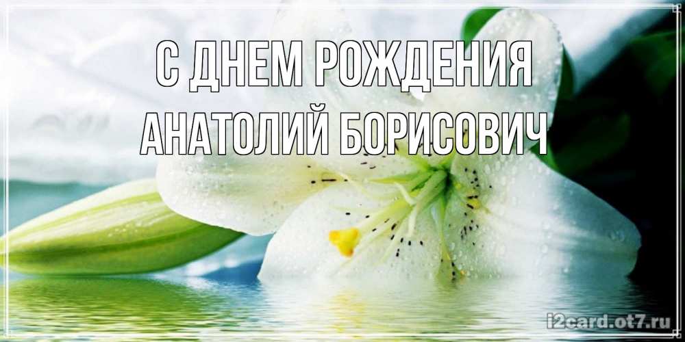 Открытка на каждый день с именем, Анатолий-Борисович С днем рождения лилия на открытке ко дню рождения Прикольная открытка с пожеланием онлайн скачать бесплатно 