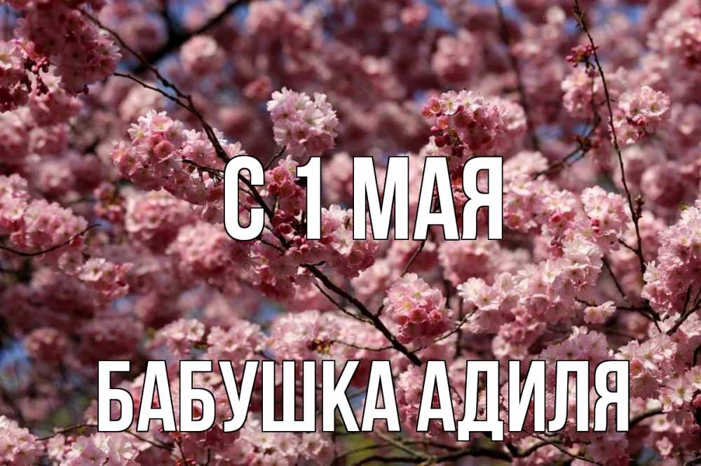 Открытка на каждый день с именем, Бабушка-Адиля С 1 мая С 1 мая Прикольная открытка с пожеланием онлайн скачать бесплатно 