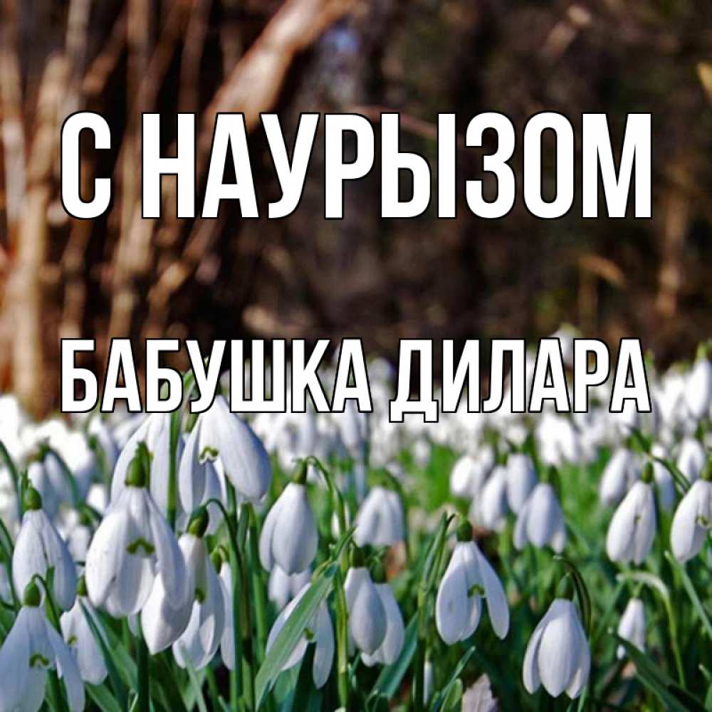 Открытка на каждый день с именем, Бабушка-Дилара С наурызом с подснежниками 1 Прикольная открытка с пожеланием онлайн скачать бесплатно 