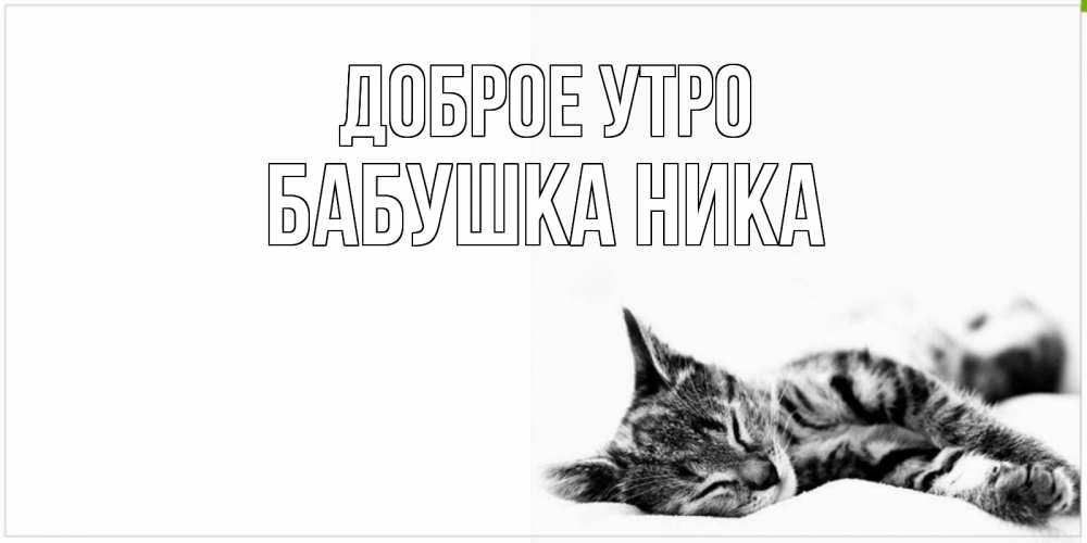 Открытка на каждый день с именем, Бабушка-Ника Доброе утро котуся Прикольная открытка с пожеланием онлайн скачать бесплатно 