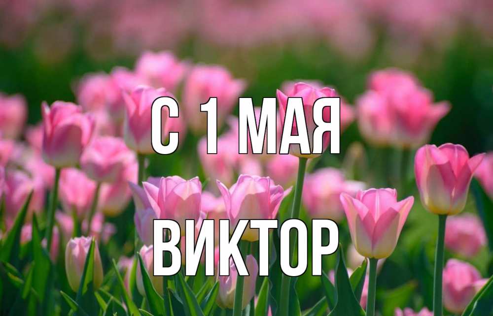 Открытка на каждый день с именем, Виктор С 1 мая С 1 мая Прикольная открытка с пожеланием онлайн скачать бесплатно 