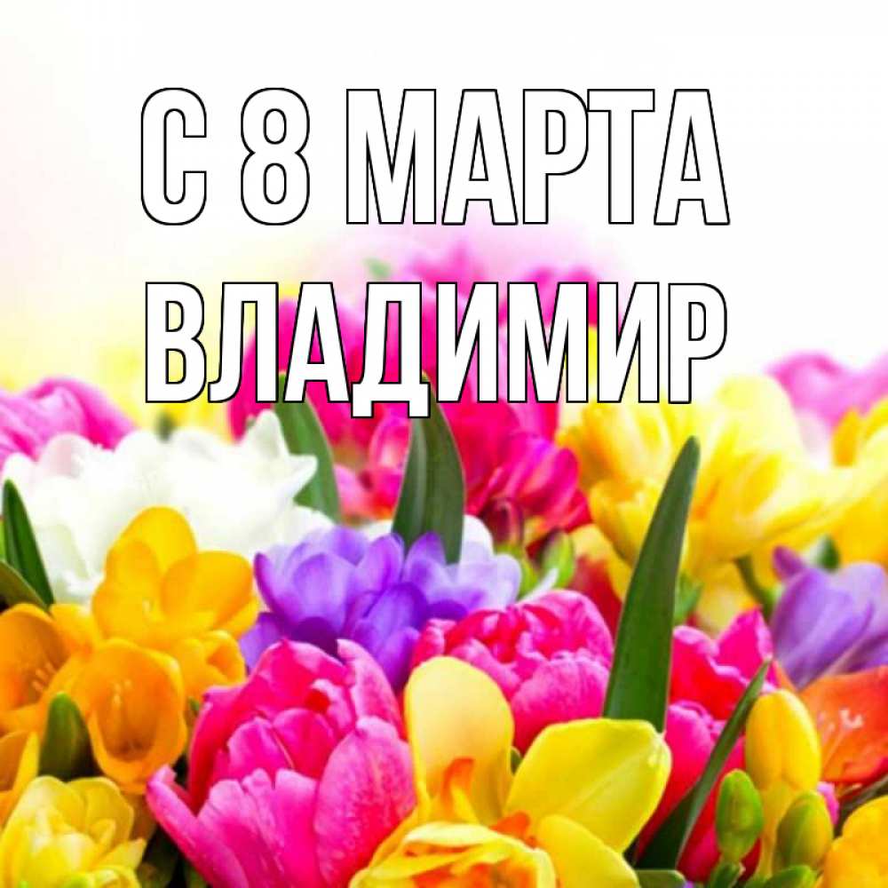 Открытка на каждый день с именем, Владимир С 8 МАРТА тюльпаны Прикольная открытка с пожеланием онлайн скачать бесплатно 