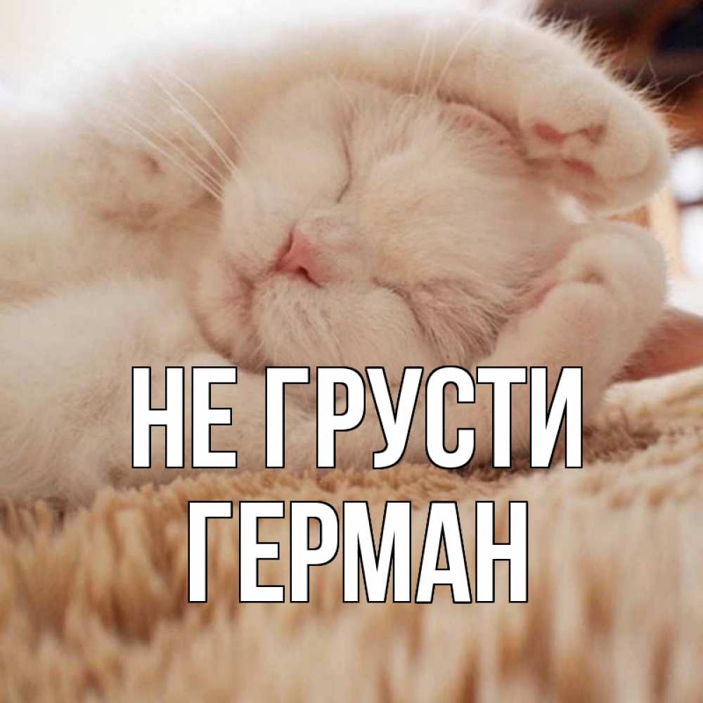 Открытка на каждый день с именем, Герман Не грусти белый кот Прикольная открытка с пожеланием онлайн скачать бесплатно 