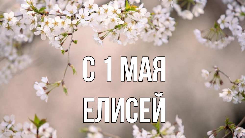 Открытка на каждый день с именем, Елисей С 1 мая С 1 мая Прикольная открытка с пожеланием онлайн скачать бесплатно 