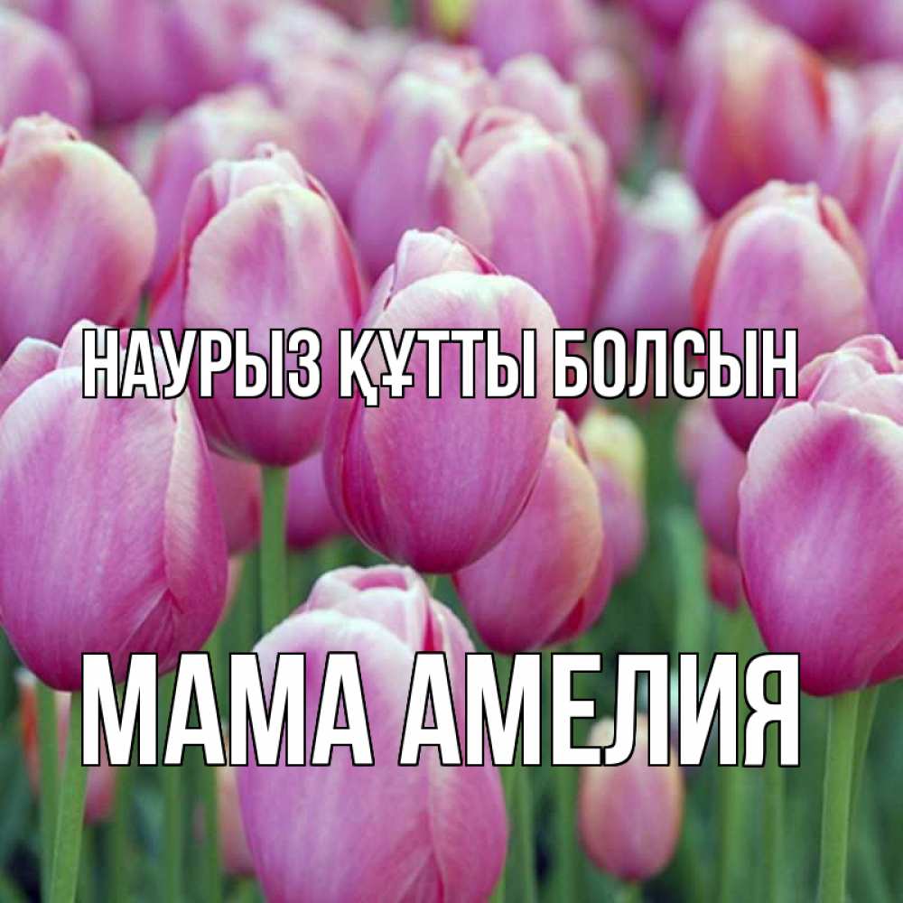 Открытка на каждый день с именем, Мама-Амелия Наурыз құтты болсын на наурыз  день 3 Прикольная открытка с пожеланием онлайн скачать бесплатно 