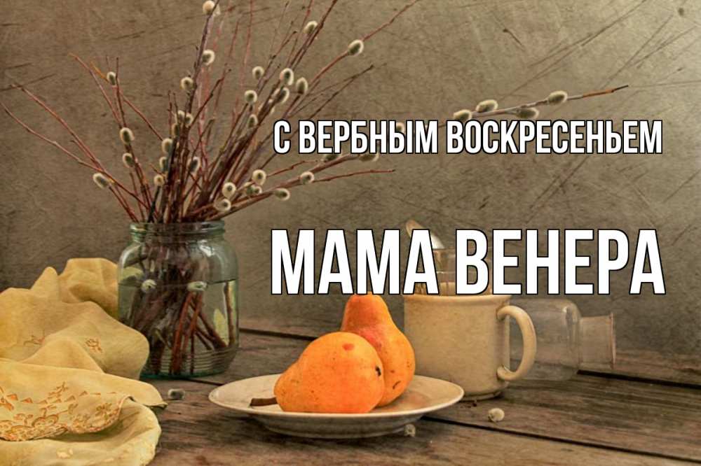 Открытка на каждый день с именем, Мама-Венера С вербным воскресеньем верба Прикольная открытка с пожеланием онлайн скачать бесплатно 