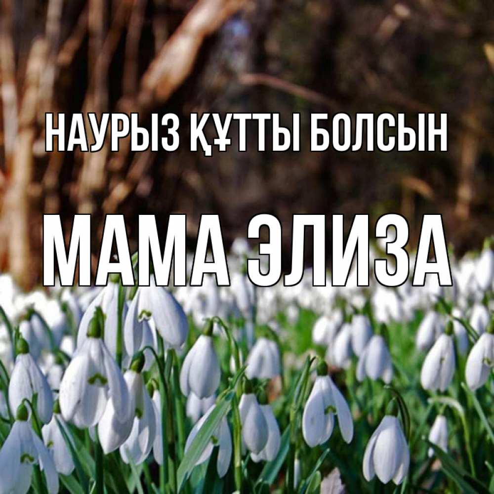 Открытка на каждый день с именем, Мама-Элиза Наурыз құтты болсын с подснежниками 1 Прикольная открытка с пожеланием онлайн скачать бесплатно 