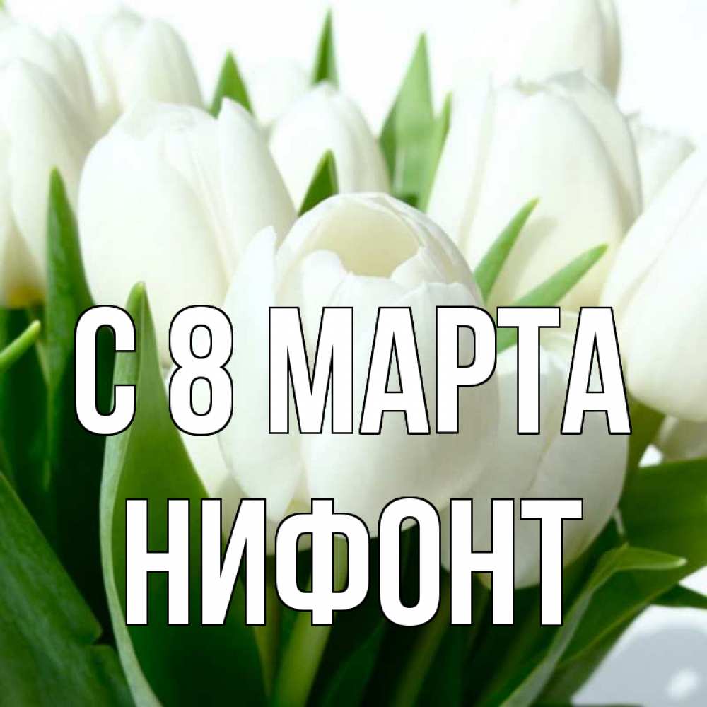 Открытка на каждый день с именем, Нифонт С 8 марта цветы Прикольная открытка с пожеланием онлайн скачать бесплатно 