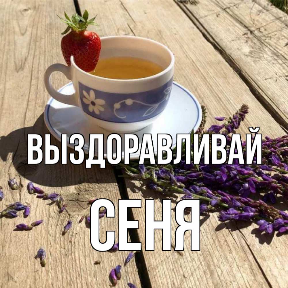 Открытка на каждый день с именем, Сеня Выздоравливай чай Прикольная открытка с пожеланием онлайн скачать бесплатно 