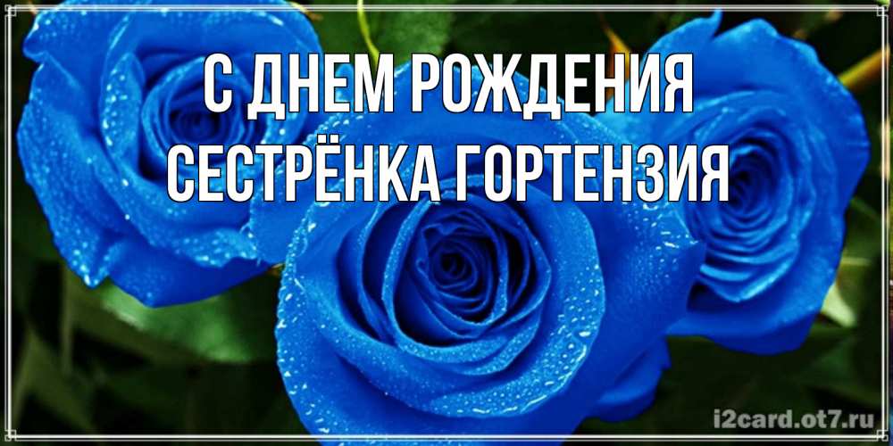 Открытка на каждый день с именем, Сестрёнка-Гортензия С днем рождения розы с синим цветом Прикольная открытка с пожеланием онлайн скачать бесплатно 