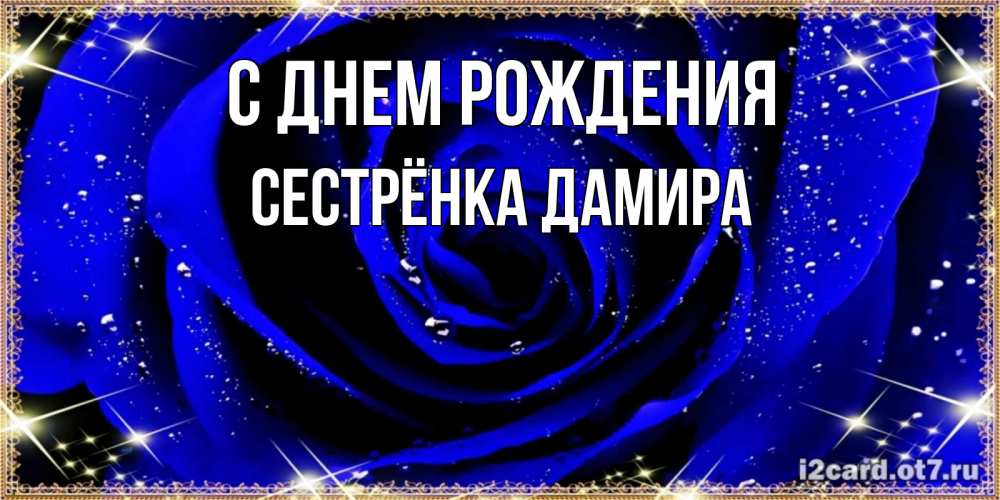 Открытка на каждый день с именем, Сестрёнка-Дамира С днем рождения голубые цветы в росе Прикольная открытка с пожеланием онлайн скачать бесплатно 