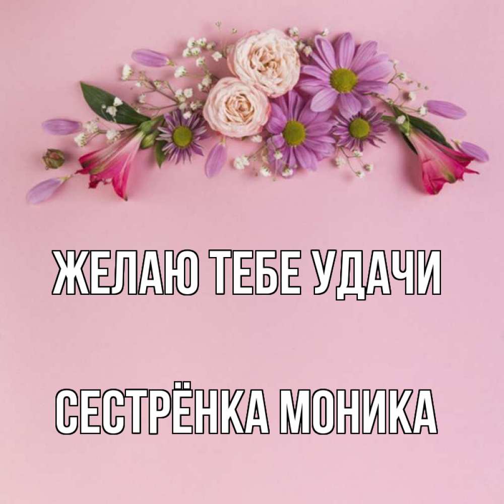 Открытка на каждый день с именем, Сестрёнка-Моника Желаю тебе удачи розовый фон Прикольная открытка с пожеланием онлайн скачать бесплатно 