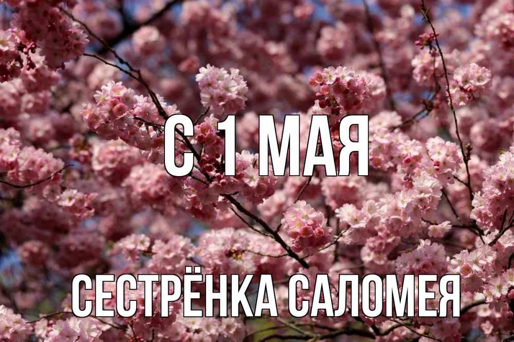 Открытка на каждый день с именем, Сестрёнка-Саломея С 1 мая С 1 мая Прикольная открытка с пожеланием онлайн скачать бесплатно 