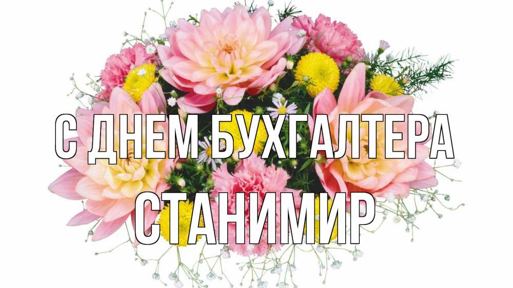 Открытка на каждый день с именем, Станимир С днем бухгалтера с днем бухгалтера Прикольная открытка с пожеланием онлайн скачать бесплатно 