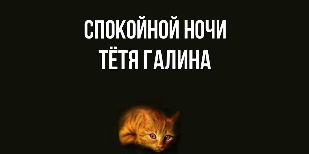 Открытка на каждый день с именем, Тётя-Галина Спокойной ночи кот Прикольная открытка с пожеланием онлайн скачать бесплатно 
