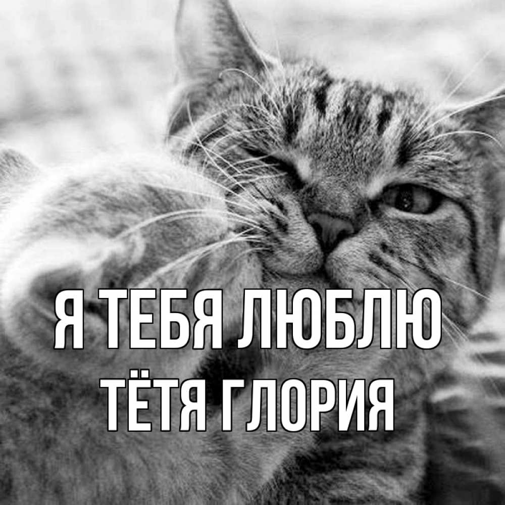 Открытка на каждый день с именем, Тётя-Глория Я тебя люблю коты Прикольная открытка с пожеланием онлайн скачать бесплатно 