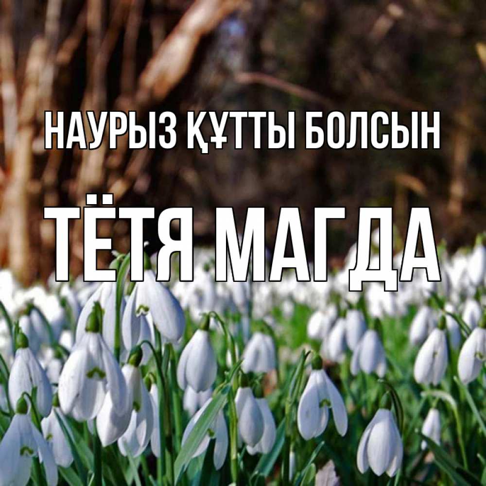 Открытка на каждый день с именем, Тётя-Магда Наурыз құтты болсын с подснежниками 1 Прикольная открытка с пожеланием онлайн скачать бесплатно 