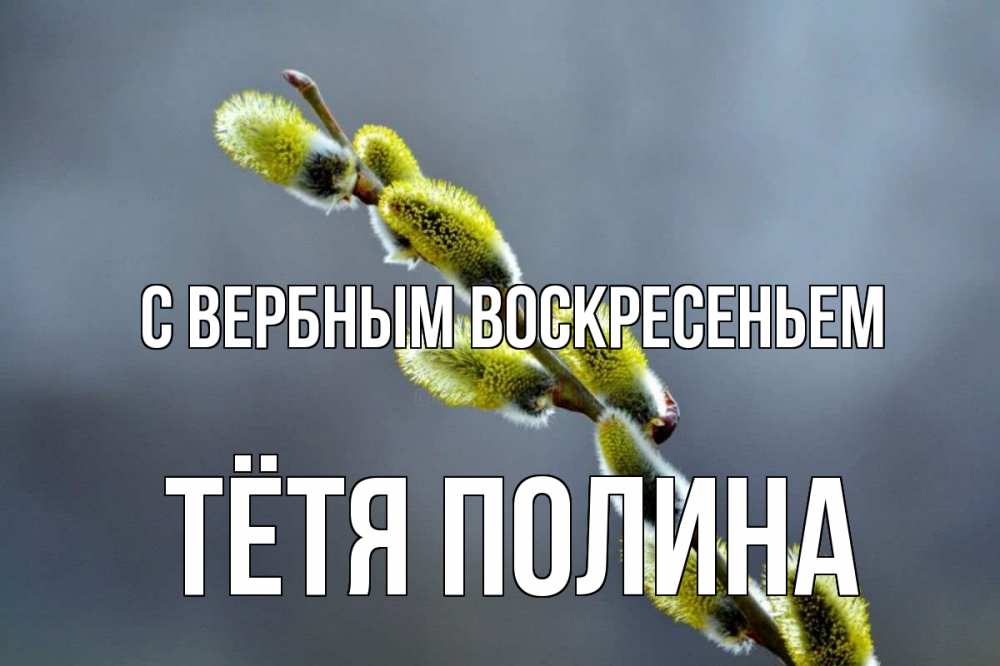 Открытка на каждый день с именем, Тётя-Полина С вербным воскресеньем верба Прикольная открытка с пожеланием онлайн скачать бесплатно 