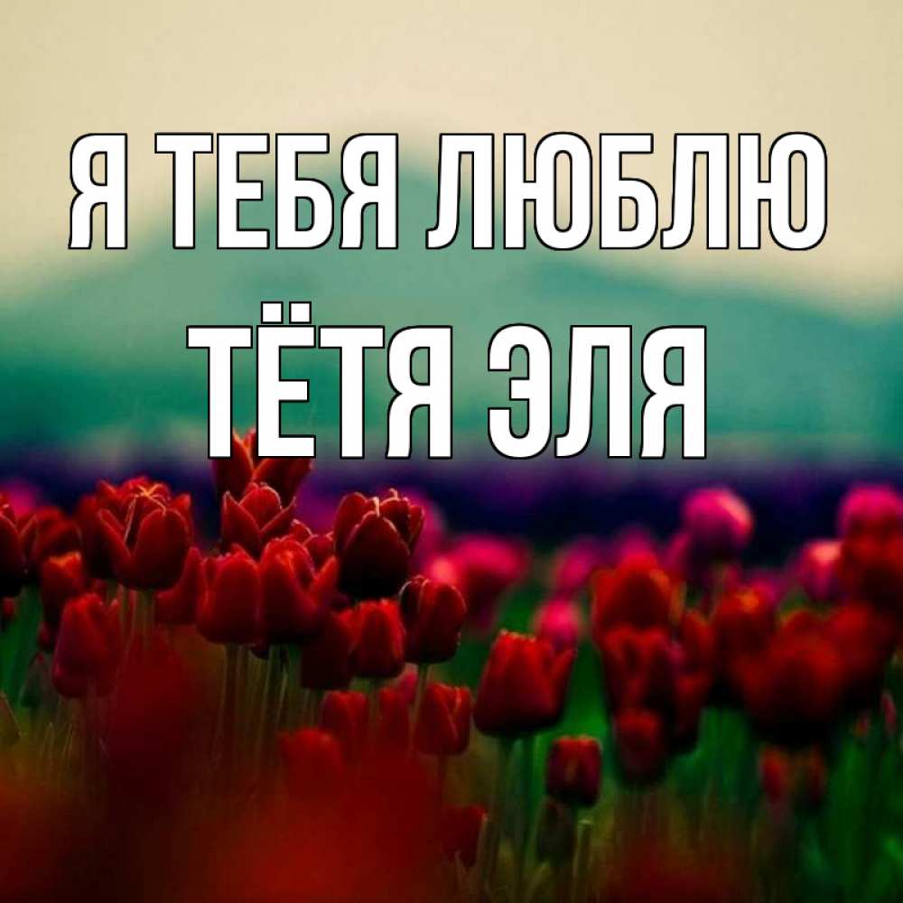 Открытка на каждый день с именем, Тётя-Эля Я тебя люблю тюльпаны 4 Прикольная открытка с пожеланием онлайн скачать бесплатно 