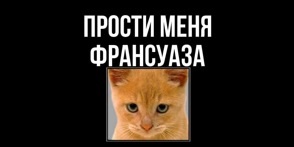 Открытка на каждый день с именем, Франсуаза Прости меня рыжий грустный кот просит прощения Прикольная открытка с пожеланием онлайн скачать бесплатно 