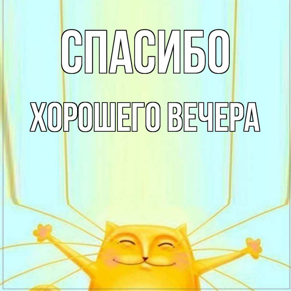 Открытка на каждый день с именем, -Хорошего-вечера Спасибо кот с усами благодарит Прикольная открытка с пожеланием онлайн скачать бесплатно 