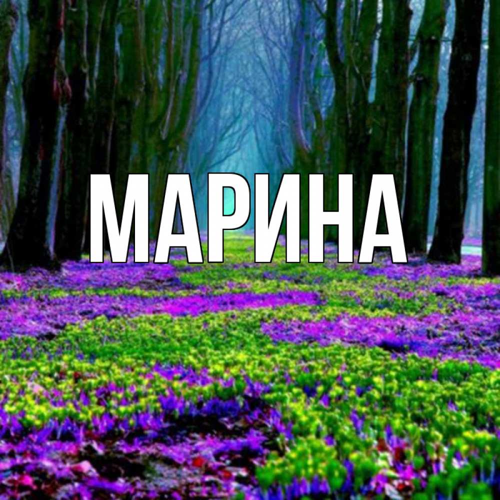 Открытка на каждый день с именем, Марина Главная фиолетовые цветы в лесу 1 Прикольная открытка с пожеланием онлайн скачать бесплатно 