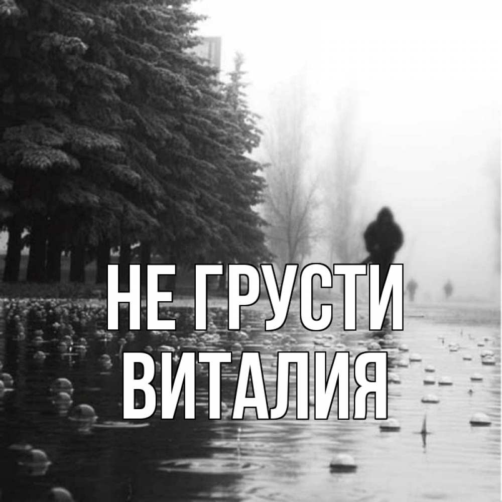 Открытка на каждый день с именем, Виталия Не грусти улица под дождем Прикольная открытка с пожеланием онлайн скачать бесплатно 