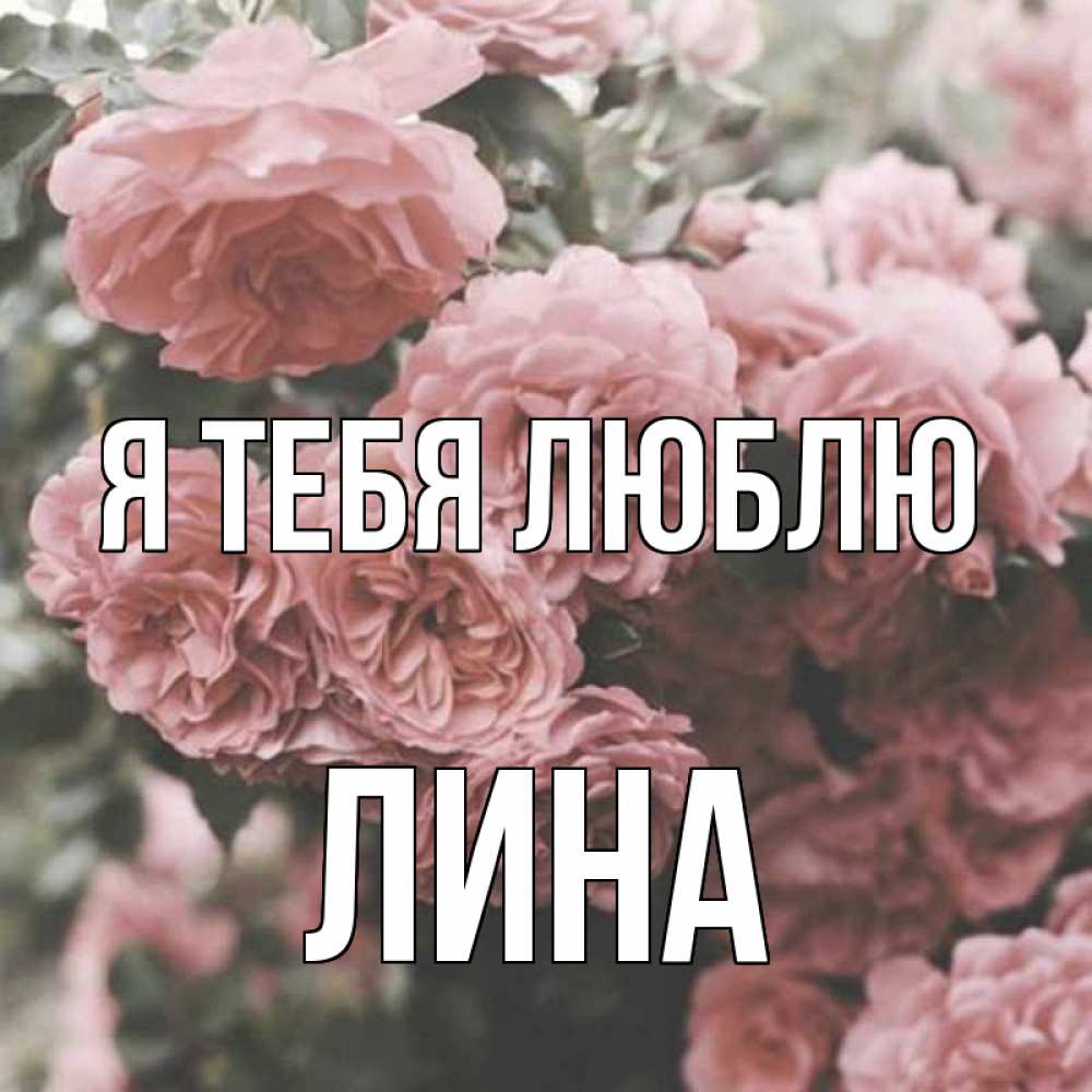 Открытка на каждый день с именем, Лина Я тебя люблю розы 3 Прикольная открытка с пожеланием онлайн скачать бесплатно 