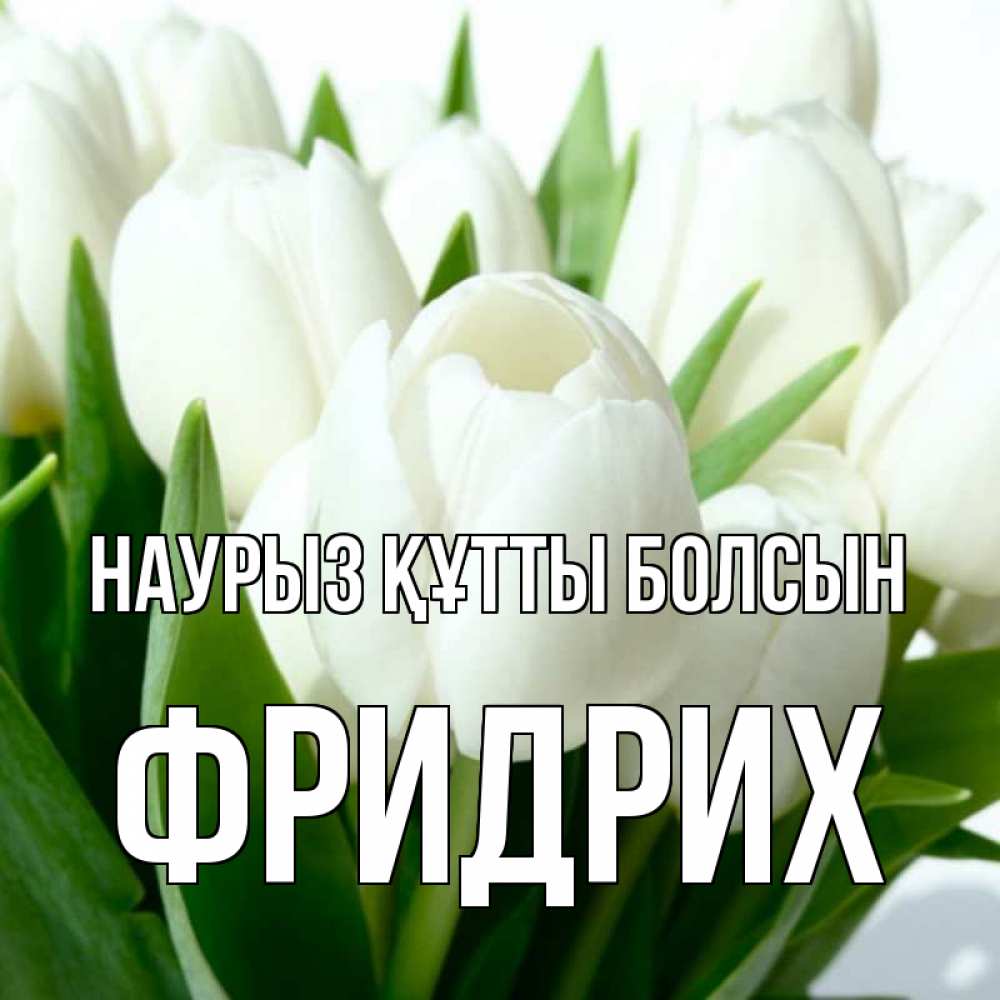 Открытка на каждый день с именем, Фридрих Наурыз құтты болсын цветы Прикольная открытка с пожеланием онлайн скачать бесплатно 