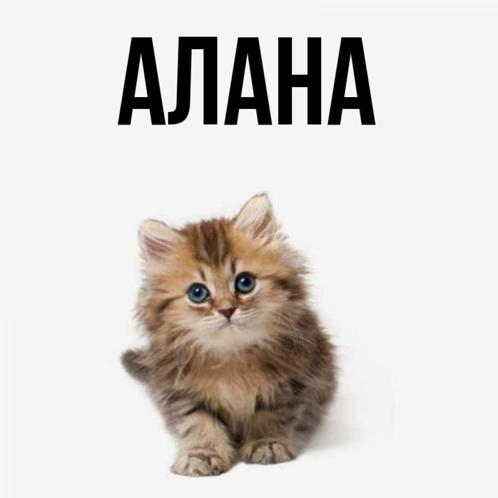 Анимированные, открытка с именем алана