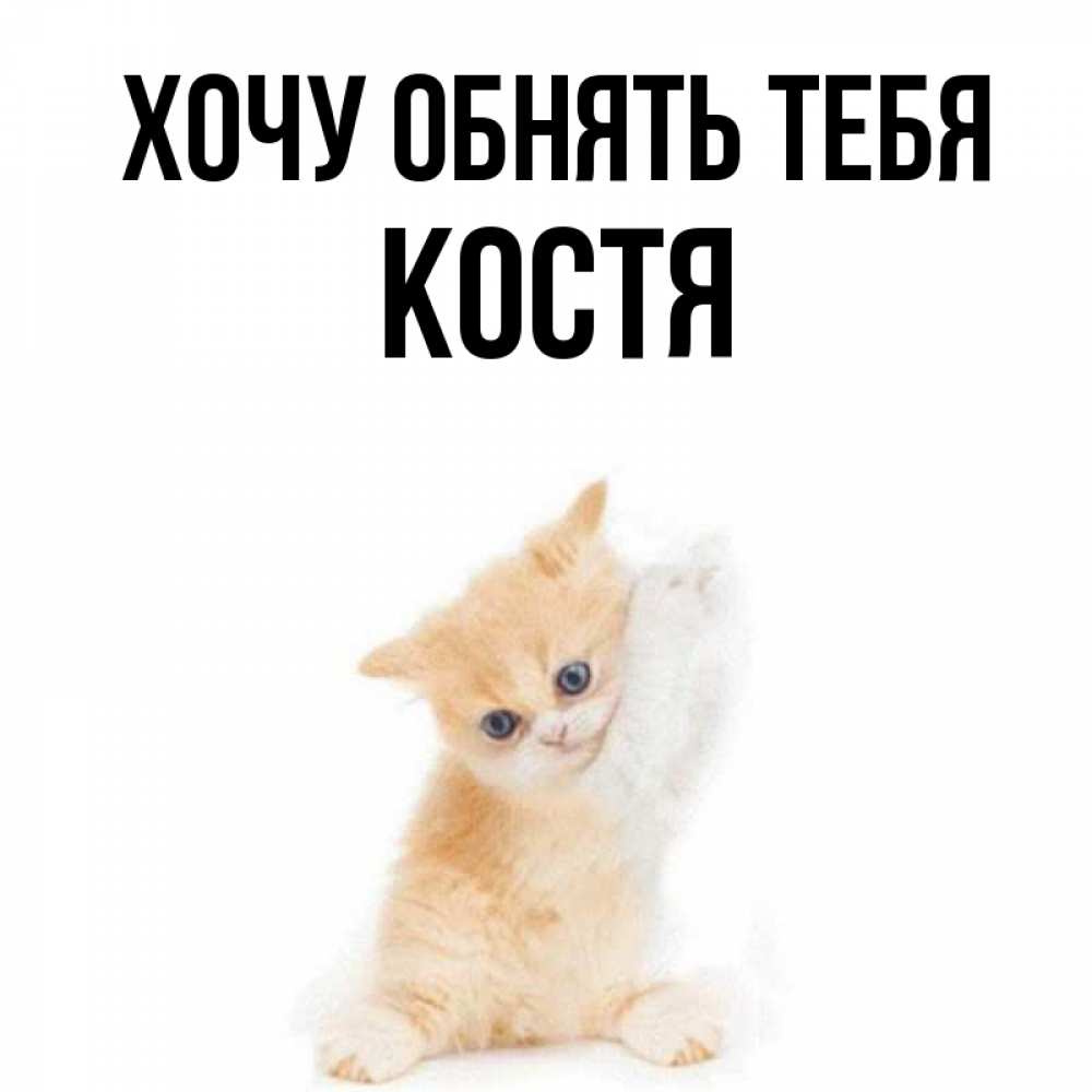 Костя хотим