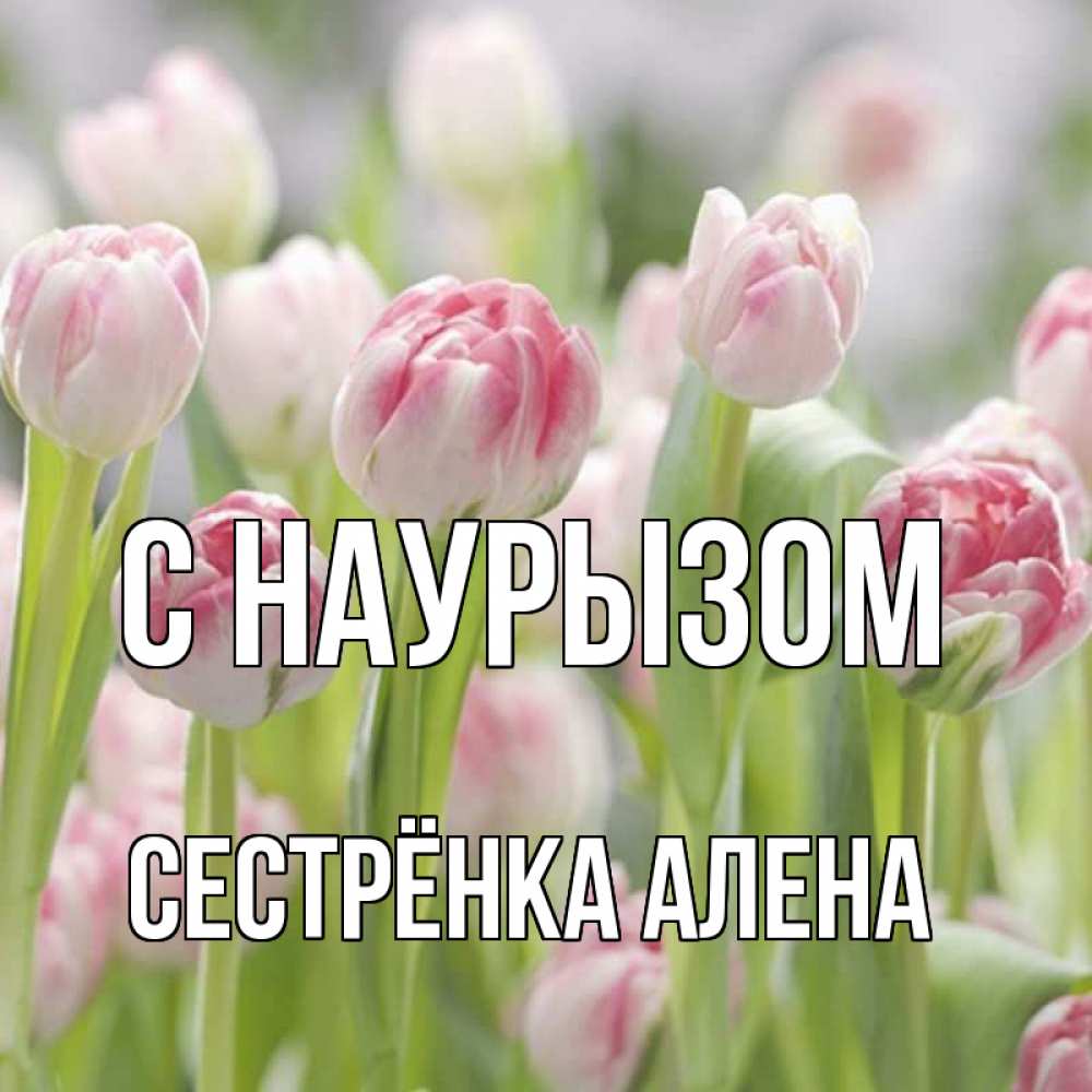 Открытка на каждый день с именем, Сестрёнка-Алена С наурызом цветы Прикольная открытка с пожеланием онлайн скачать бесплатно 