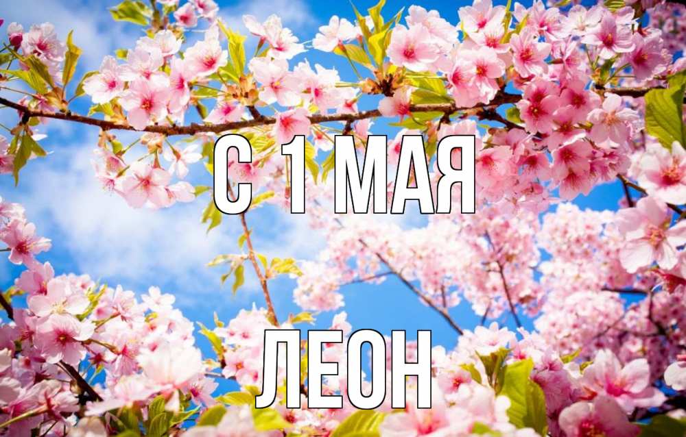 Картинки май мэлади