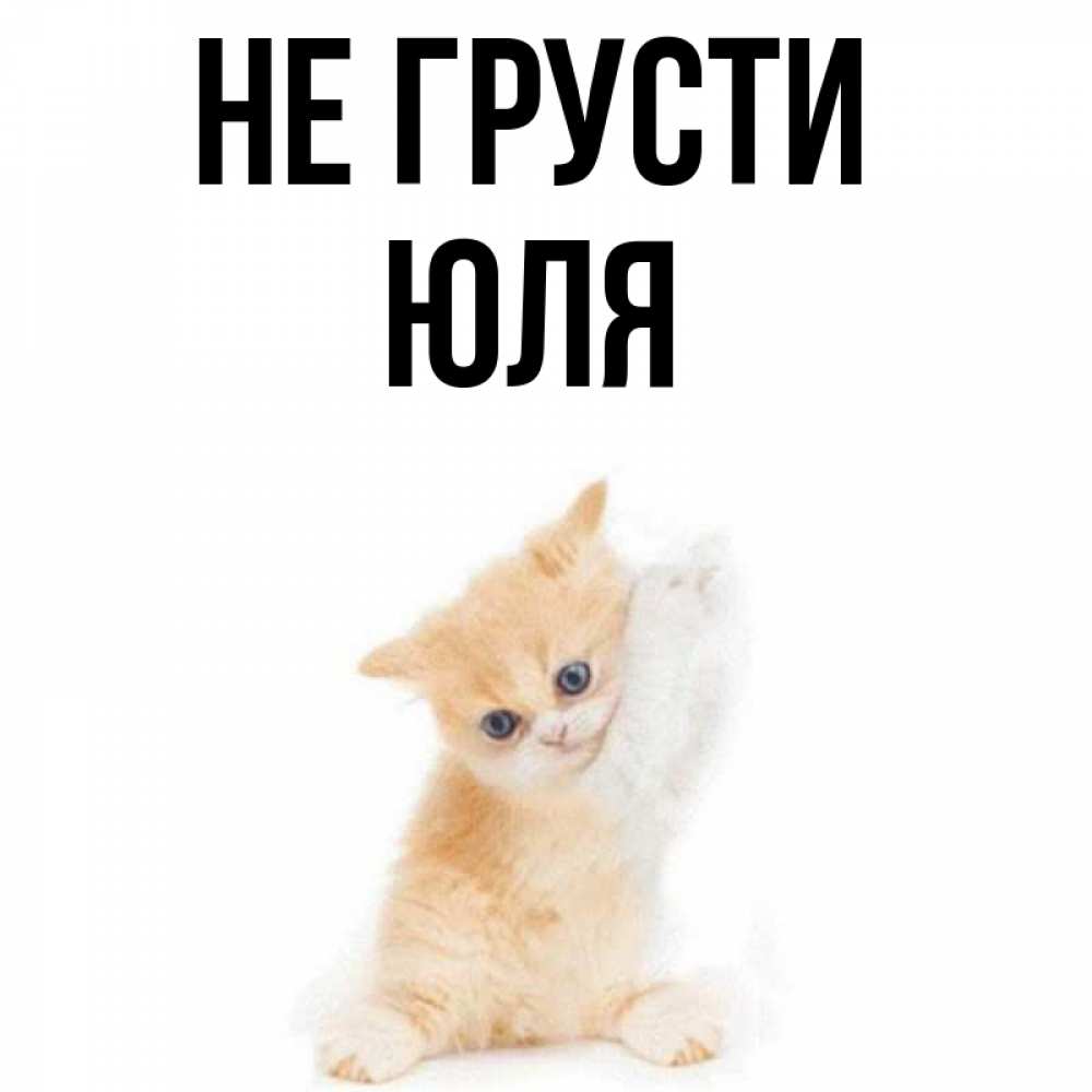 Смешные картинки не грусти все будет
