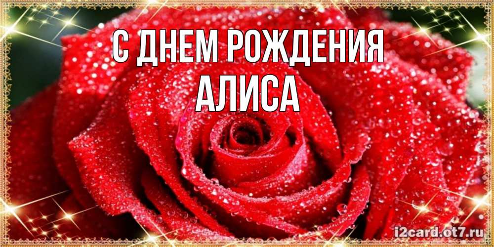 Открытка на каждый день с именем, Алиса С днем рождения роса и роза. открытка с красивой розой Прикольная открытка с пожеланием онлайн скачать бесплатно 