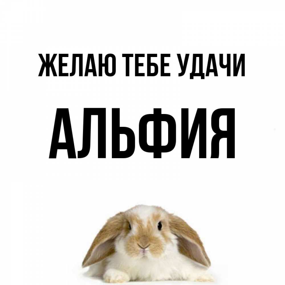 Открытка на каждый день с именем, Альфия Желаю тебе удачи открытки с произвольным текстом который можно вставить в открытку и создать ее самостоятельно бесплатно онлайн Прикольная открытка с пожеланием онлайн скачать бесплатно 