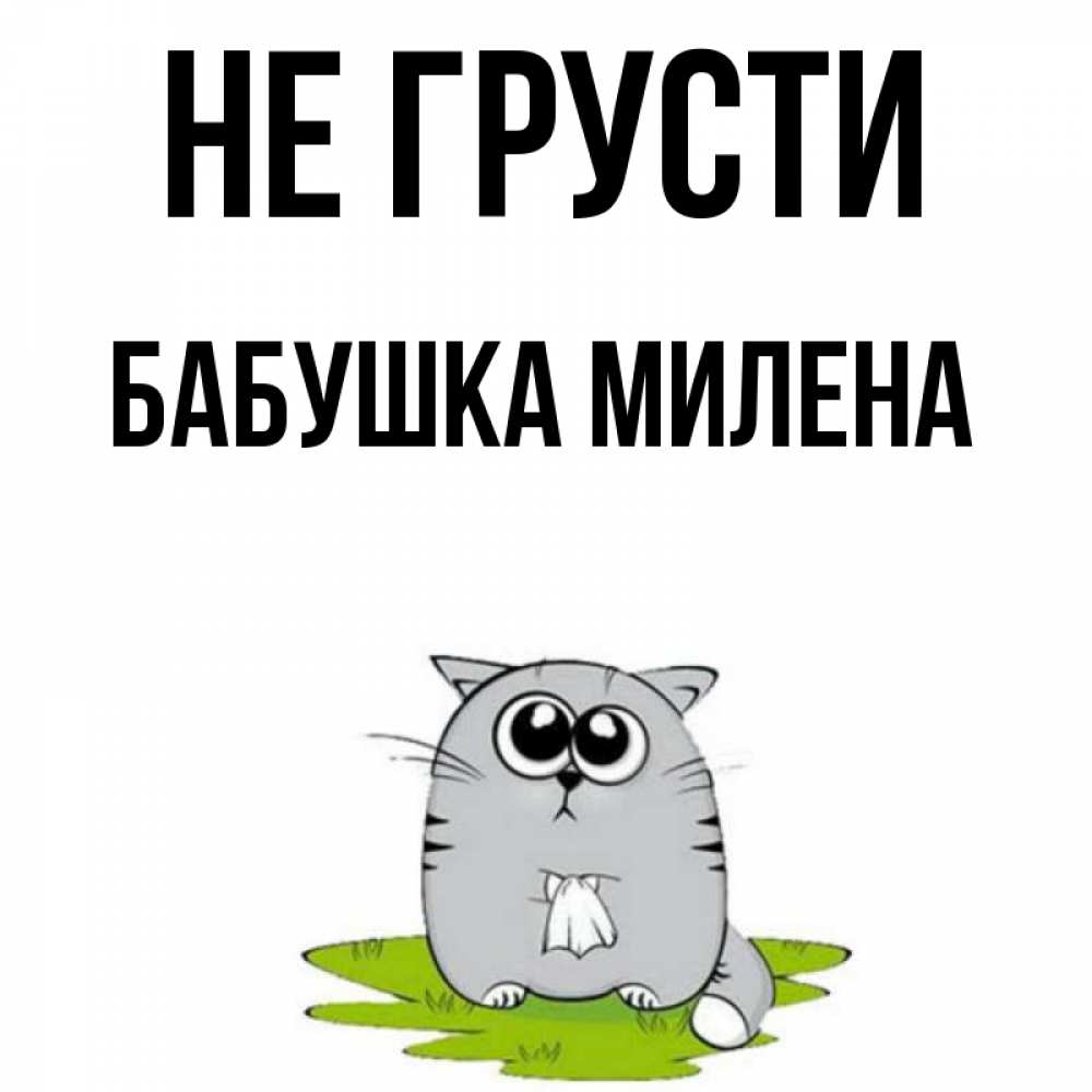 Открытка на каждый день с именем, Бабушка-Милена Не грусти грустный котяра Прикольная открытка с пожеланием онлайн скачать бесплатно 