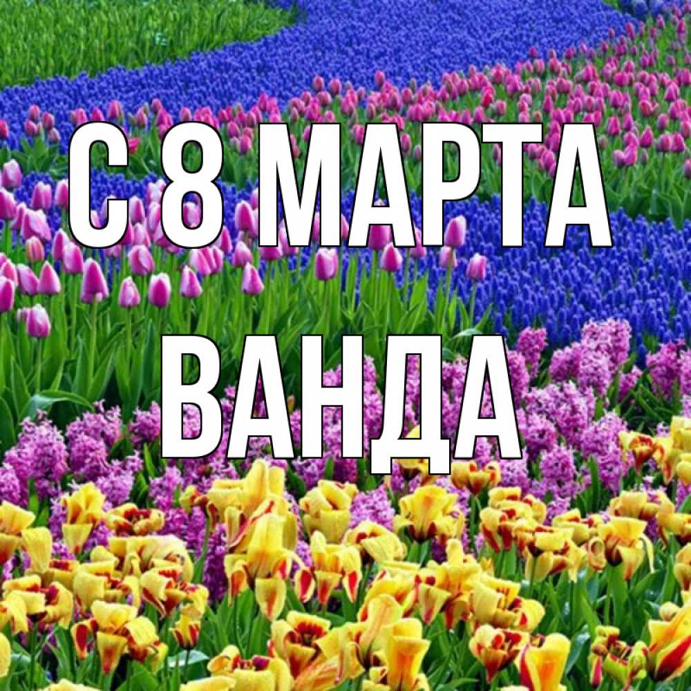 Открытка на каждый день с именем, Ванда С 8 МАРТА цветы Прикольная открытка с пожеланием онлайн скачать бесплатно 