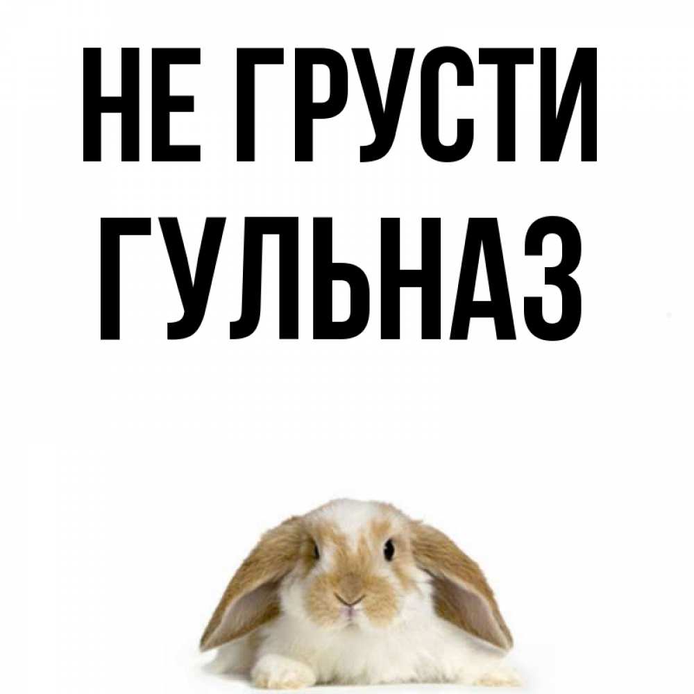 Открытка на каждый день с именем, Гульназ Не грусти коричнево белый заяц с большими ушками Прикольная открытка с пожеланием онлайн скачать бесплатно 