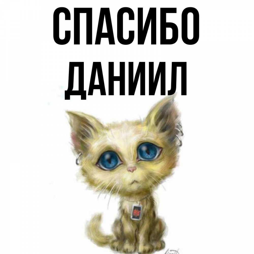 Открытка на каждый день с именем, Даниил Спасибо рисованный кот благодарит вас Прикольная открытка с пожеланием онлайн скачать бесплатно 