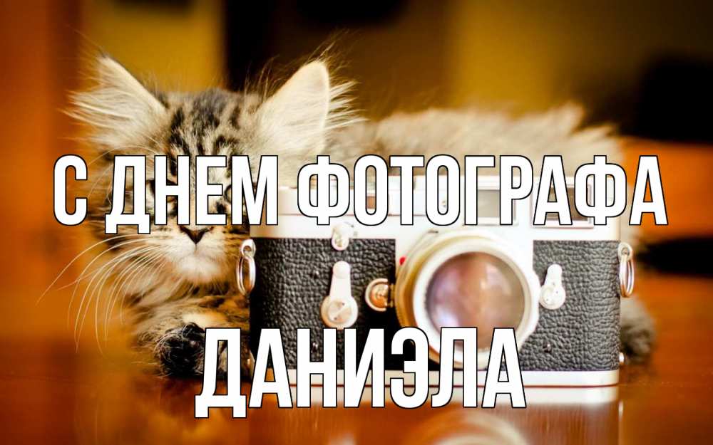 Открытка на каждый день с именем, Даниэла С днем фотографа с днем фотографа Прикольная открытка с пожеланием онлайн скачать бесплатно 