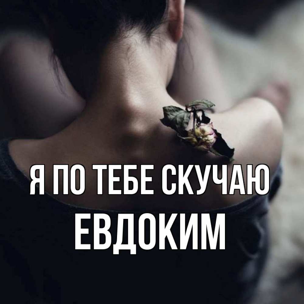 Открытка на каждый день с именем, Евдоким Я по тебе скучаю засох цветок Прикольная открытка с пожеланием онлайн скачать бесплатно 