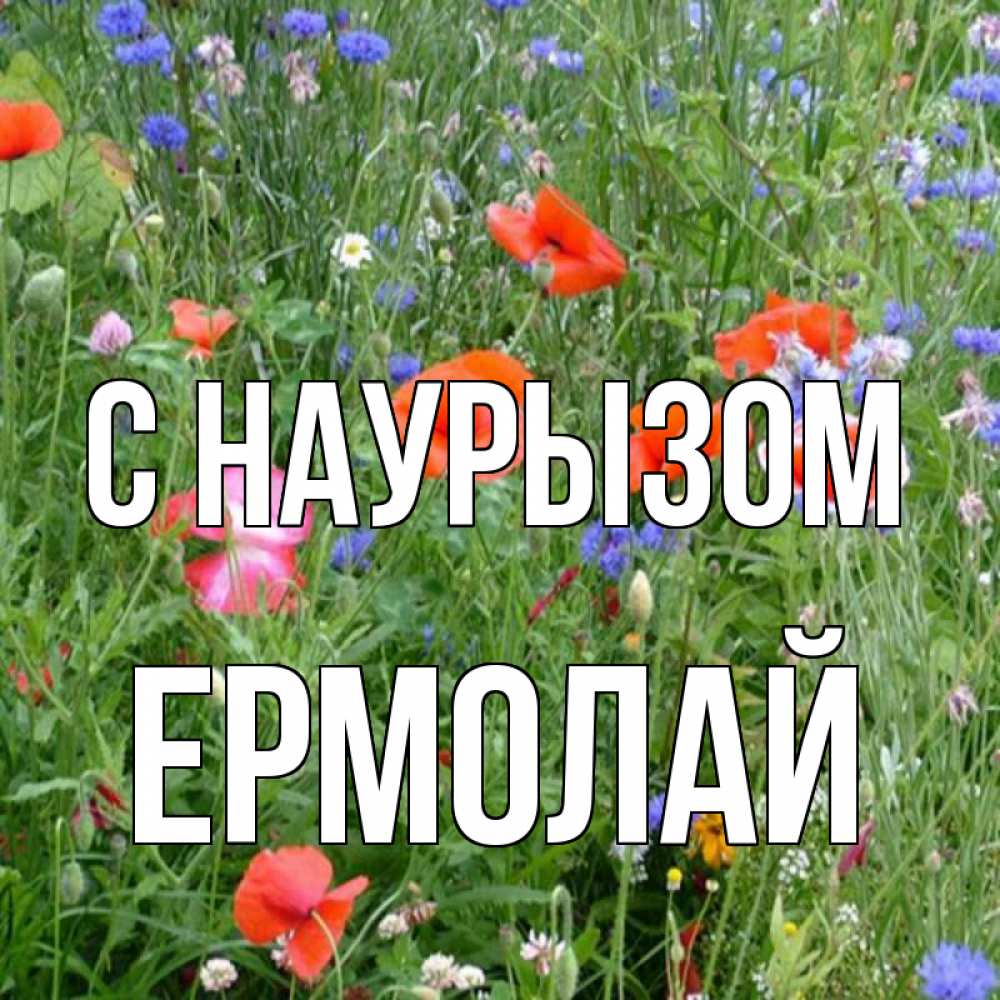 Открытка на каждый день с именем, Ермолай С наурызом праздник весны наурыз супер открытка Прикольная открытка с пожеланием онлайн скачать бесплатно 