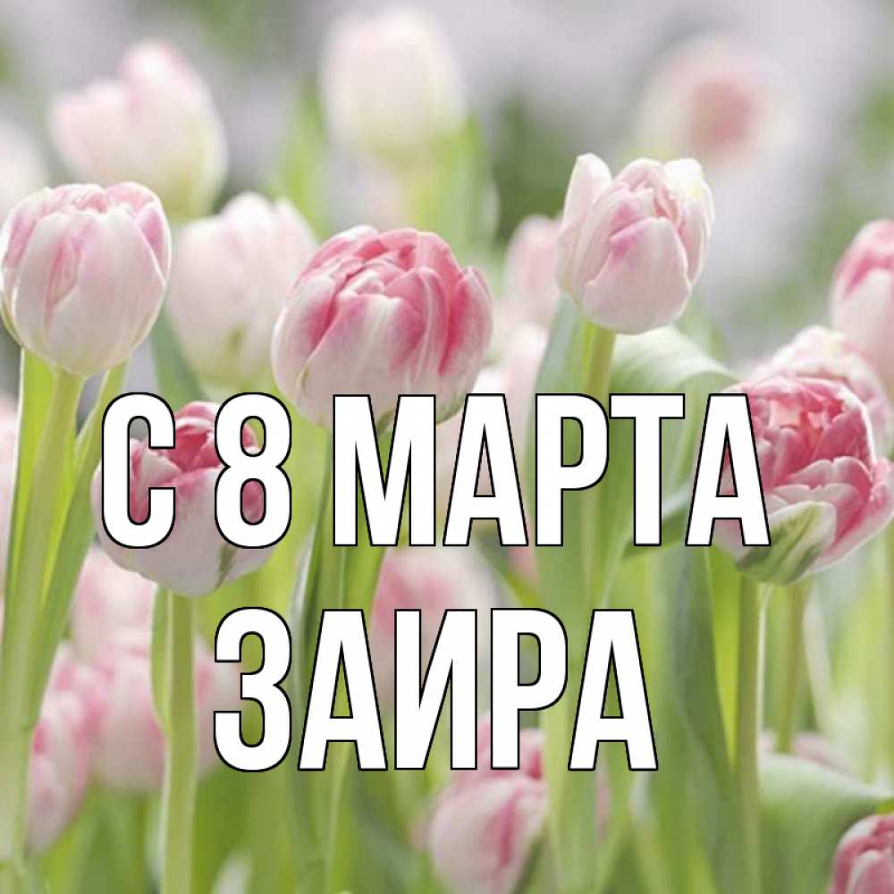 Открытка на каждый день с именем, Заира С 8 марта цветы Прикольная открытка с пожеланием онлайн скачать бесплатно 
