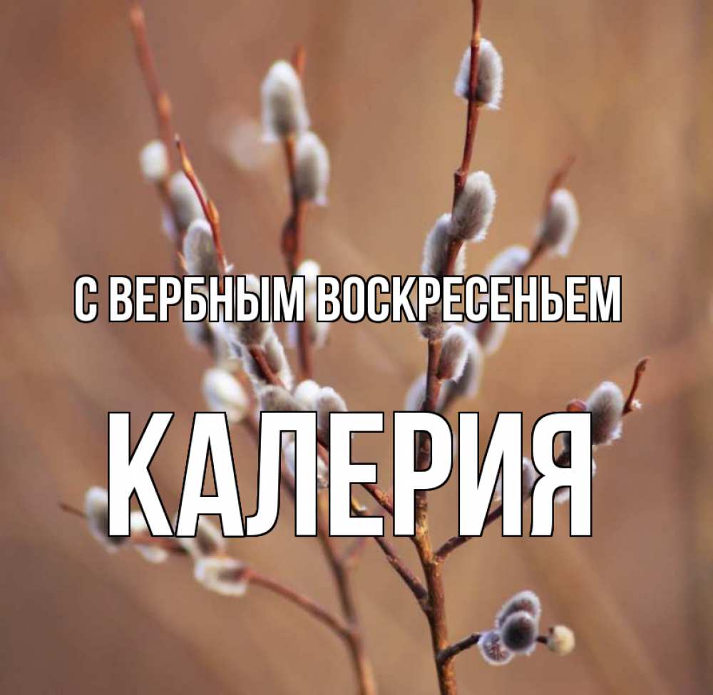 Открытка на каждый день с именем, Калерия С вербным воскресеньем верба Прикольная открытка с пожеланием онлайн скачать бесплатно 