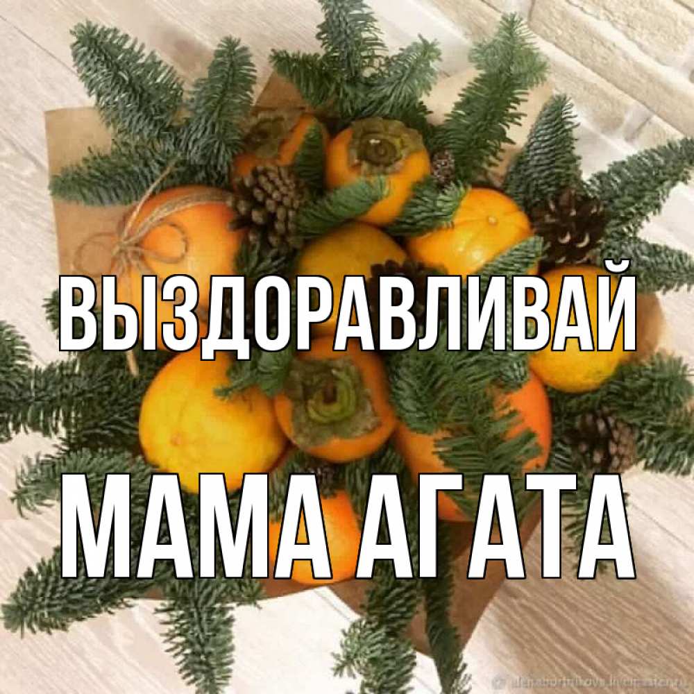 Открытка на каждый день с именем, Мама-Агата Выздоравливай апельсины и хурьма Прикольная открытка с пожеланием онлайн скачать бесплатно 