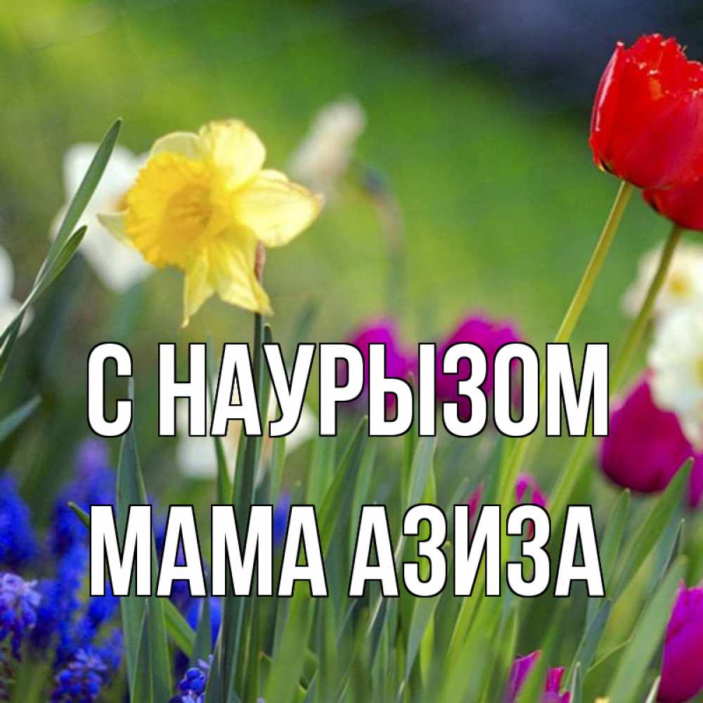 Открытка на каждый день с именем, Мама-Азиза С наурызом праздник весны наурыз 3 Прикольная открытка с пожеланием онлайн скачать бесплатно 